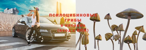 эйфоретик Аркадак