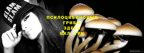 а пвп мука Арсеньев