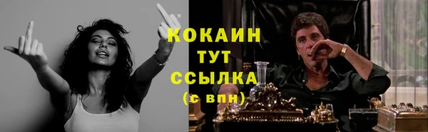 эйфоретик Аркадак